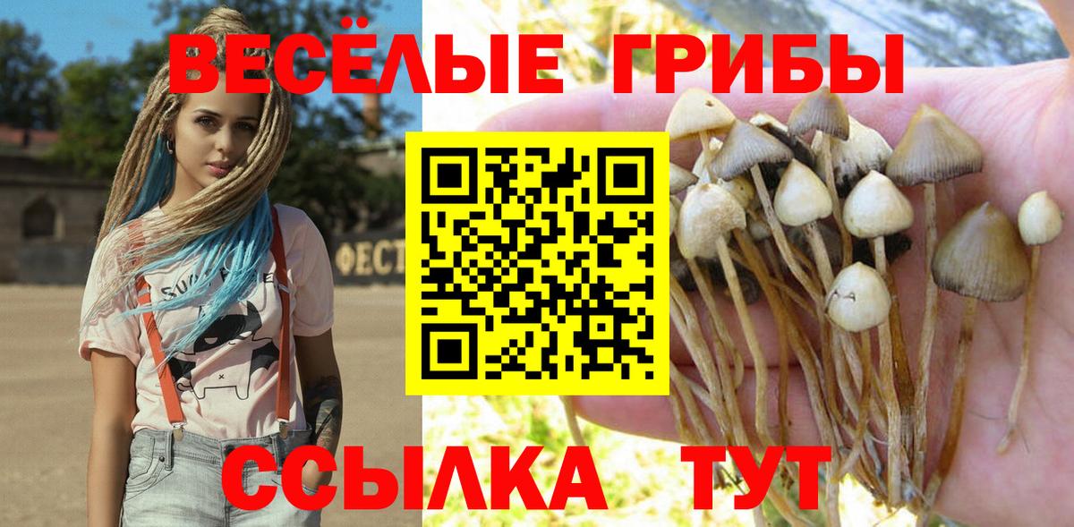 Галлюциногенные грибы Psilocybe Казань